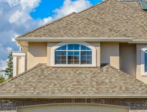 Tile Roof vs. Shingle: Which Type of Roof Is Best for Your Home