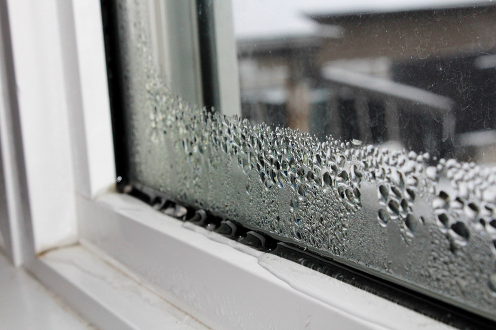Faulty window with condensation and water leakage - Window Repair vs. Window Replacement
