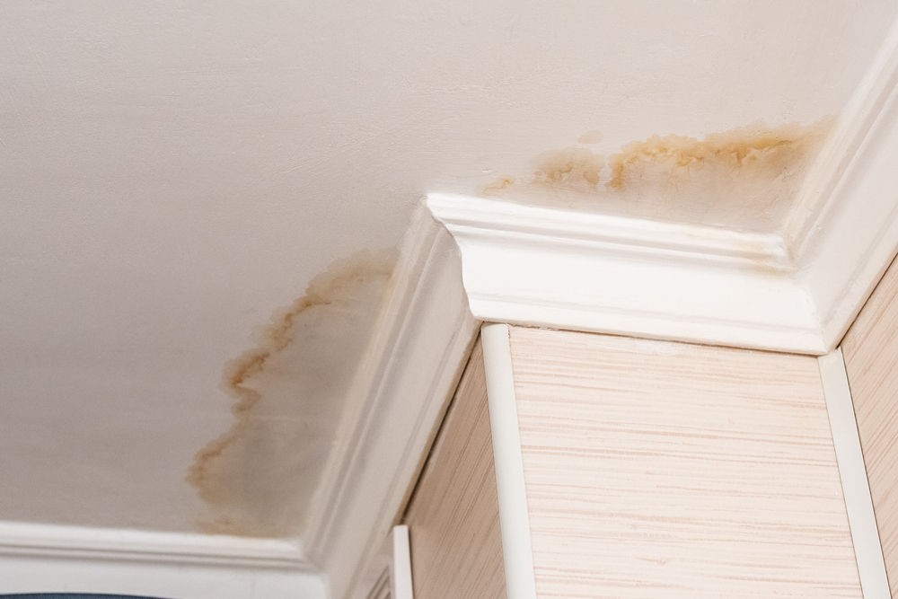 Ceiling with Mold Mildew