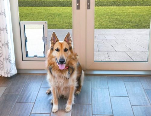 Can you Get a Pet Door for a Patio Door?