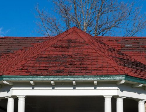 What are the Signs I Need a New Shingle Roof?