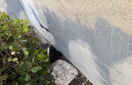 Exterior Residential Painting in Bakersfield, CA