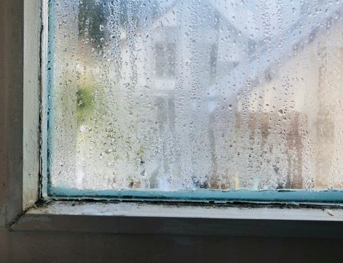 7 Clear Signs Your Windows Need Replacing Sooner Than You Think