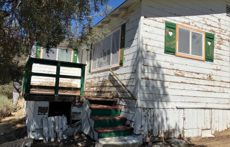 Exterior Home and Deck Painting