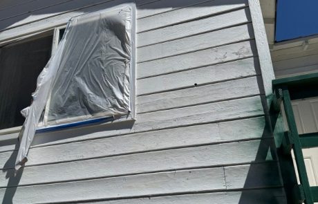 Exterior Home and Deck Painting