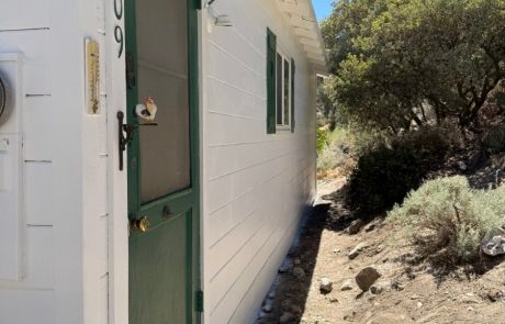 Exterior Home and Deck Painting
