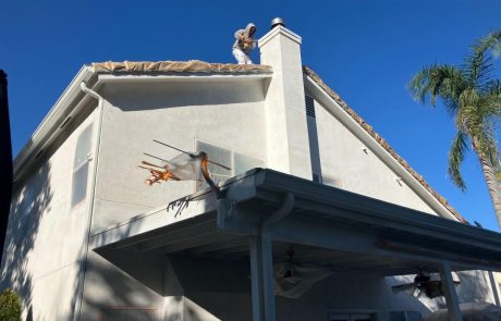 Home Painting and Window Renovations project