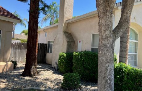 Home Painting and Window Renovations project