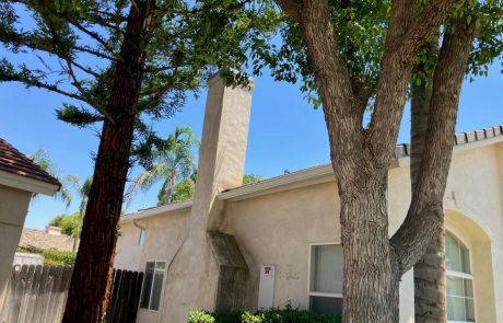 Home Painting and Window Renovations project