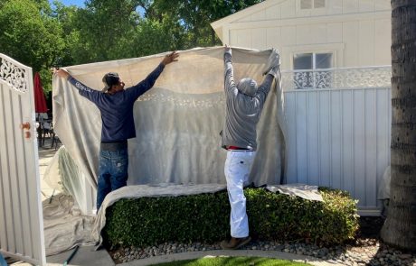 Home Painting and Window Renovations project