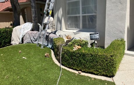 Home Painting and Window Renovations project