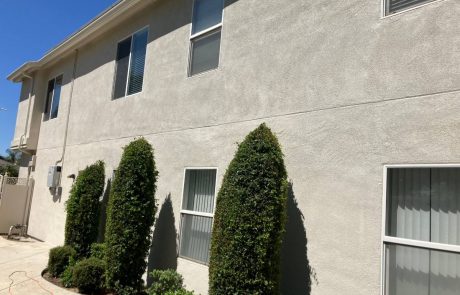 Home Painting and Window Renovations project