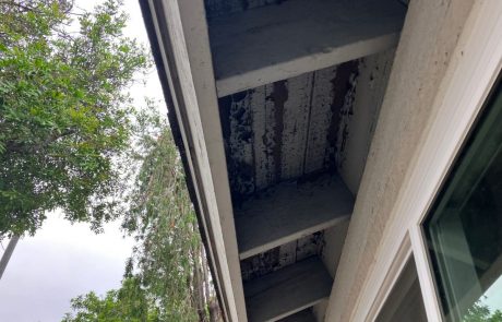 House Painting and Sliding Door Project