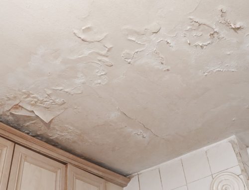 How to Tell If Your Roof Is Beyond Repair and Needs Replacing
