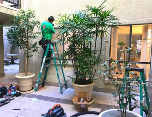 5 Reasons to Choose California Energy Contractors for Your Next Project