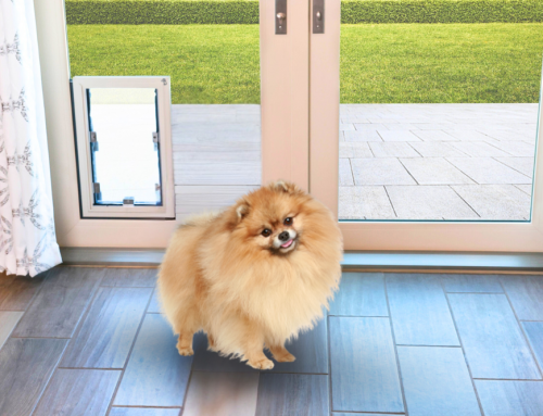 Benefits of In-Glass Pet Doors vs Traditional Door Cutouts
