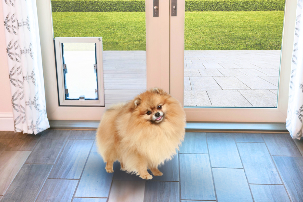Benefits of In-Glass Pet Doors vs Traditional Door Cutouts