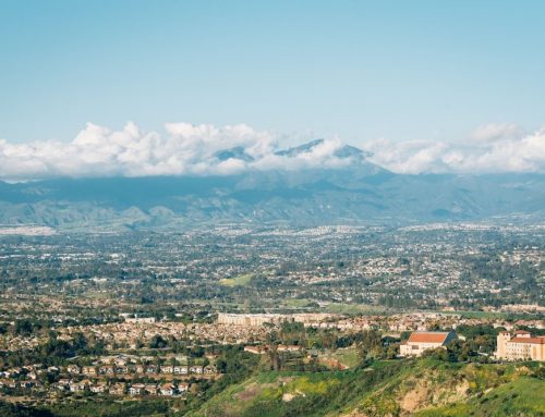 Between-the-Glass Blinds in La Mirada, CA