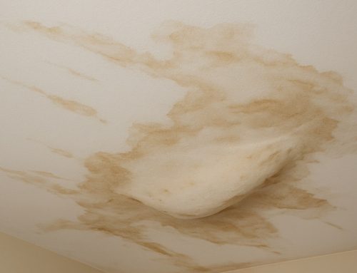 Top Signs Your Roof Needs Attention Before Winter Rain Hits