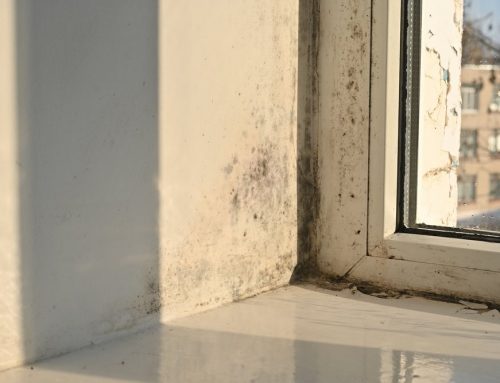 How to Know It’s Time to Replace Your Windows (and Not Repair Them)