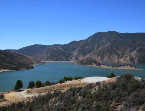 In Glass Pet Doors in Gorman, CA