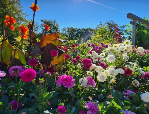 Swinging French Doors in Wilsona Gardens, CA
