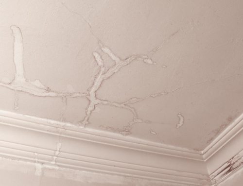 5 Signs You Need to Immediately Replace Your Roof