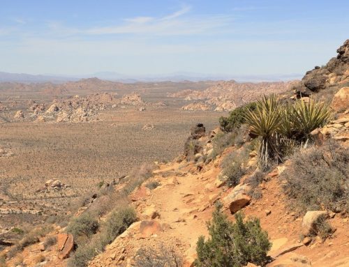 Flat Roof System in Littlerock, CA