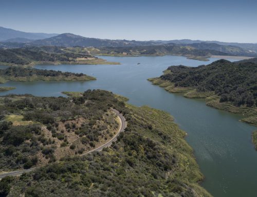 GAF Cool Roofing System in Casitas Springs, CA