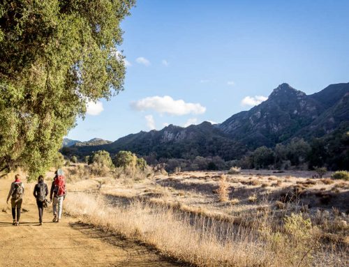 Roofing in Wheeler Springs, CA