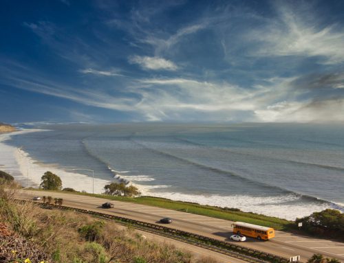 In Glass Pet Doors in Summerland, CA