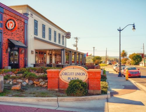 Obscure Glass Options in Orcutt, CA