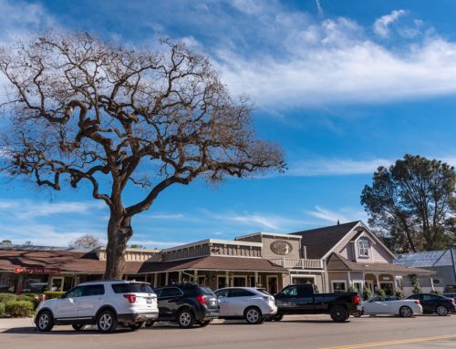 Sliding Patio Doors in Los Olivos, CA