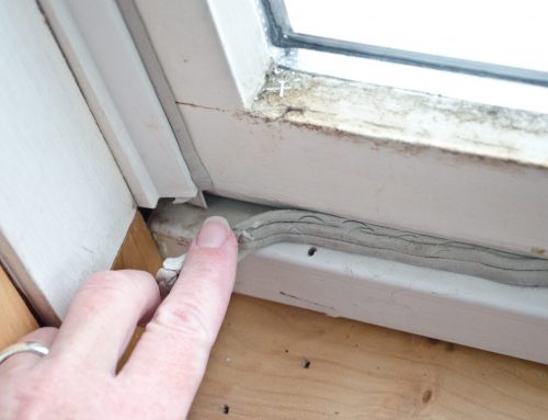 10 Signs Your Windows Are Costing You Money