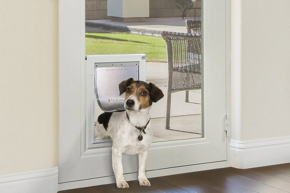 Why Your Dog Needs an In-Glass Pet Door