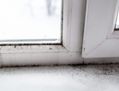 Don’t Ignore These Window Problems Before They Get Worse