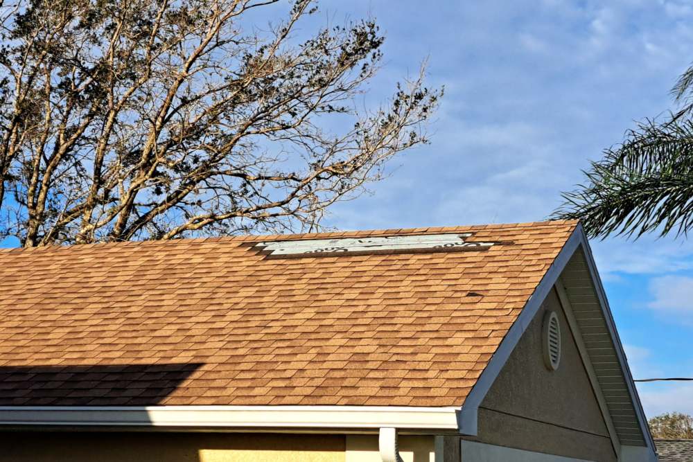 Signs You Need to Replace Your Roofing NOW